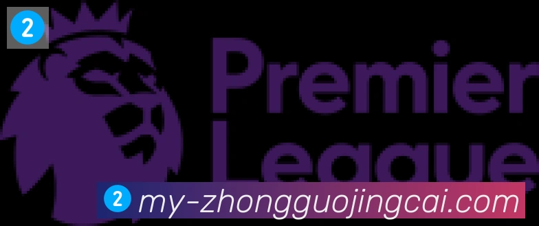 中国竞彩网合作伙伴